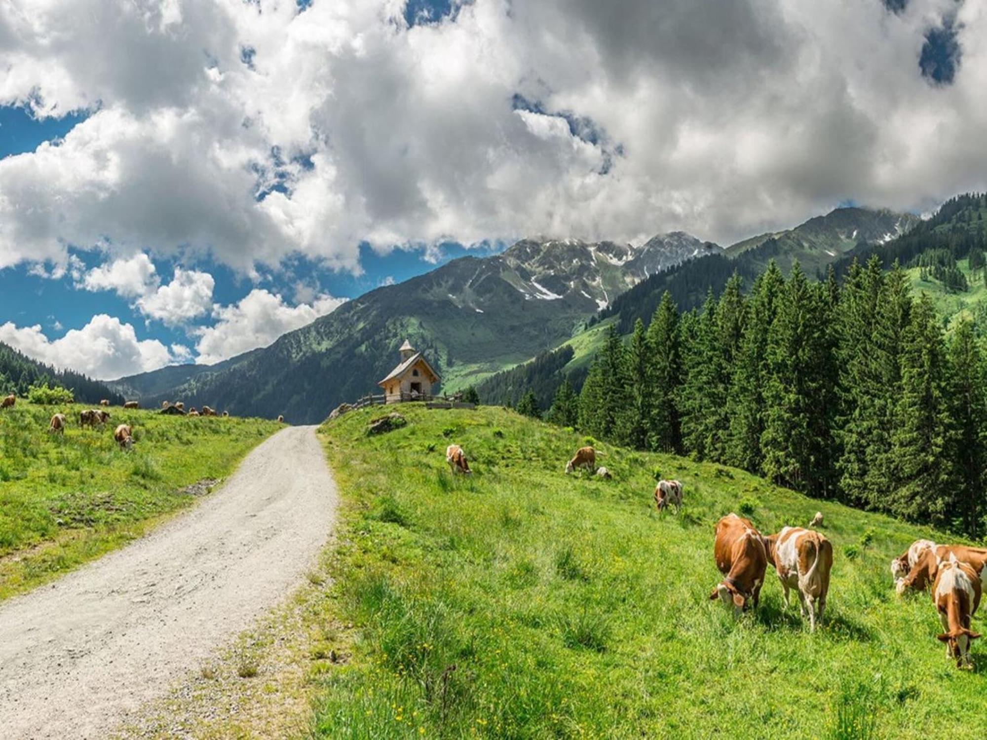Holiday Village Wildschoenau, Wildschoenau-نيديراو المظهر الخارجي الصورة